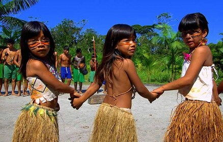 Excursion à Santos : Forêt tropicale et réserve indienne