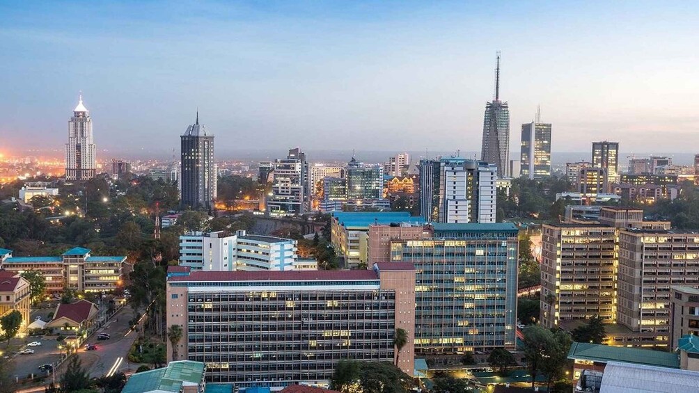 Nairobi: Guided City Tour with Nairobi National Museum Entry