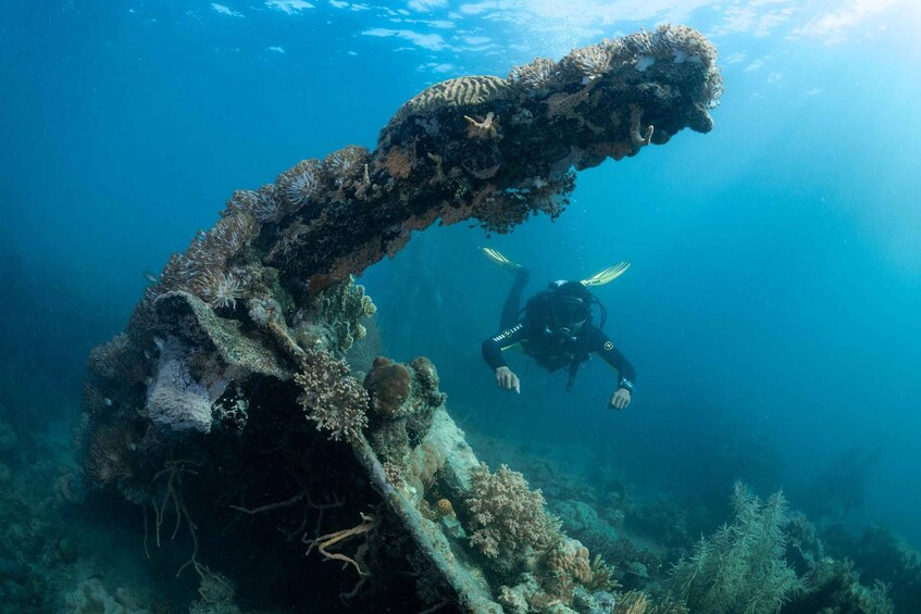 Picture 3 for Activity Coron Reef and Wrecks Tour (Private Tour)