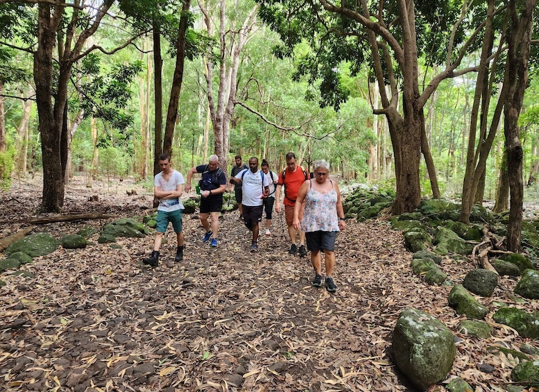 Picture 10 for Activity Black River: Guided Hike in the Black River Gorges Valley