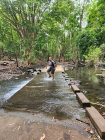 Black River: Guided Hike in the Black River Gorges Valley