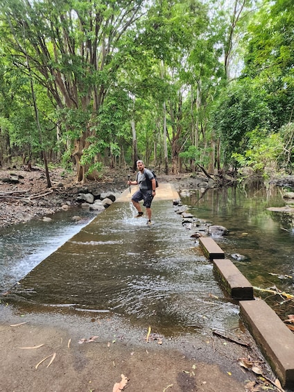 Black River: Guided Hike in the Black River Gorges Valley