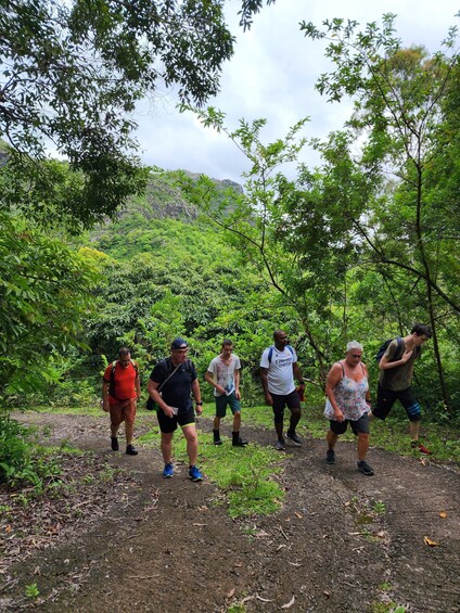 Picture 14 for Activity Black River: Guided Hike in the Black River Gorges Valley