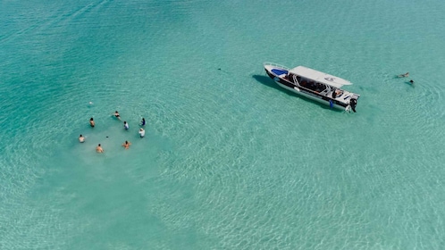 Bacalar Lagoon Sightseeing Boat Tour with Open Bar & Snack