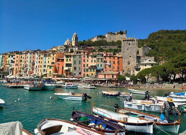 Picture 15 for Activity La Spezia: Cinque Terre and Portovenere Full-Day Boat Trip