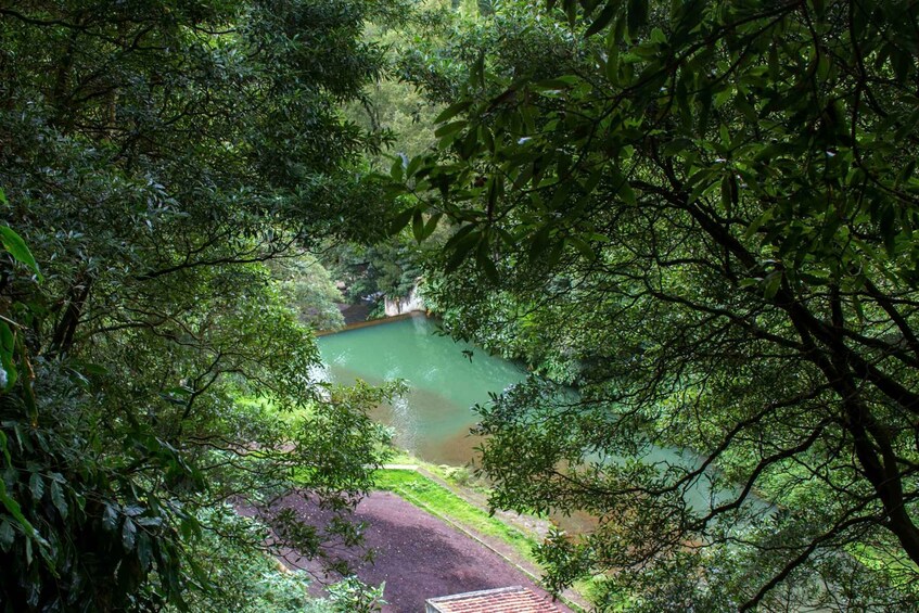 Picture 1 for Activity From Ponta Delgada: Guided Walking Tour to Salto do Cabrito