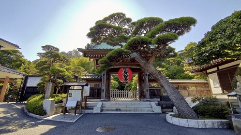 Kamakura Half Day Tour with a Local Expert Guide