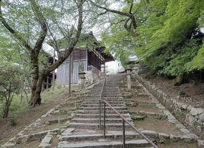 Picture 9 for Activity Kamakura Half day tour with a local