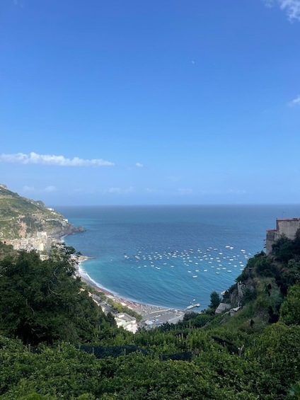 Picture 10 for Activity Maiori: Amalfi Coast Path of Lemons Day Trip with Tastings