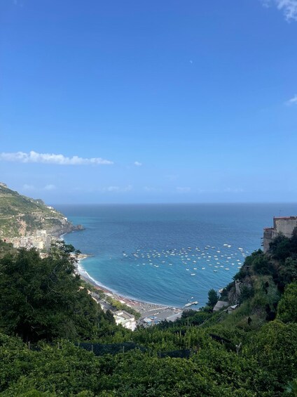 Picture 10 for Activity Maiori: Amalfi Coast Path of Lemons Day Trip with Tastings