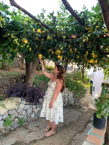 Picture 21 for Activity Maiori: Amalfi Coast Path of Lemons Day Trip with Tastings