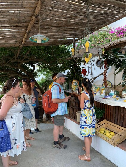 Picture 25 for Activity Maiori: Amalfi Coast Path of Lemons Day Trip with Tastings