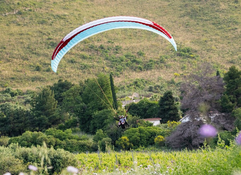 San Vito Lo Capo: Volo in parapendio in tandem foto e video