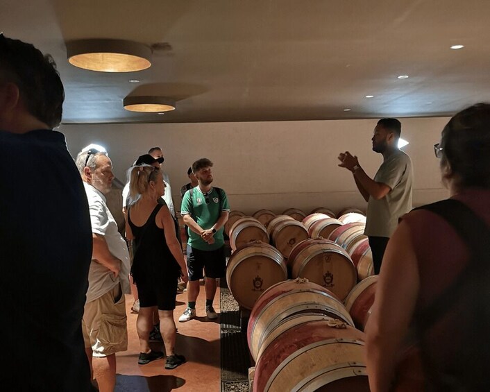Picture 10 for Activity Médoc wine tour from Bordeaux: 2 wineries & 6 wines