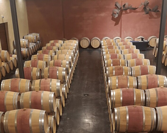 Picture 4 for Activity Médoc wine tour from Bordeaux: 2 wineries & 6 wines