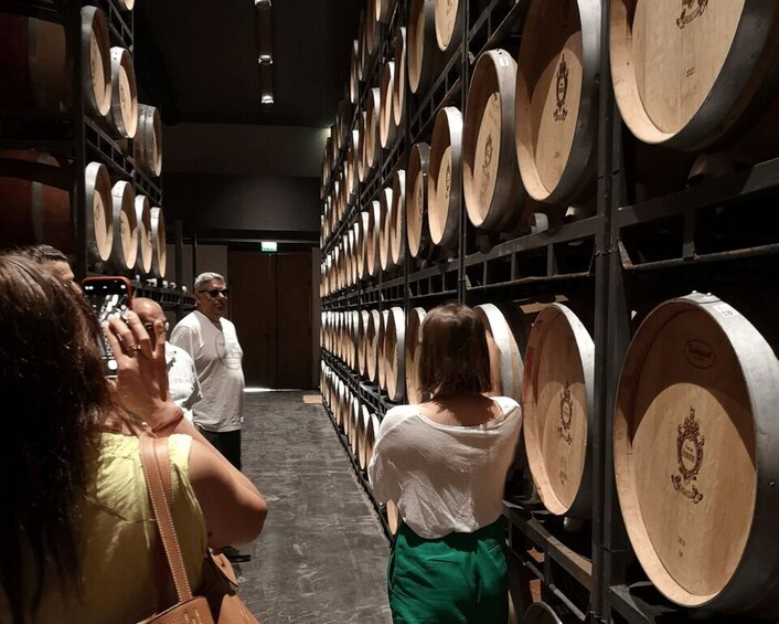 Picture 8 for Activity Médoc wine tour from Bordeaux: 2 wineries & 6 wines