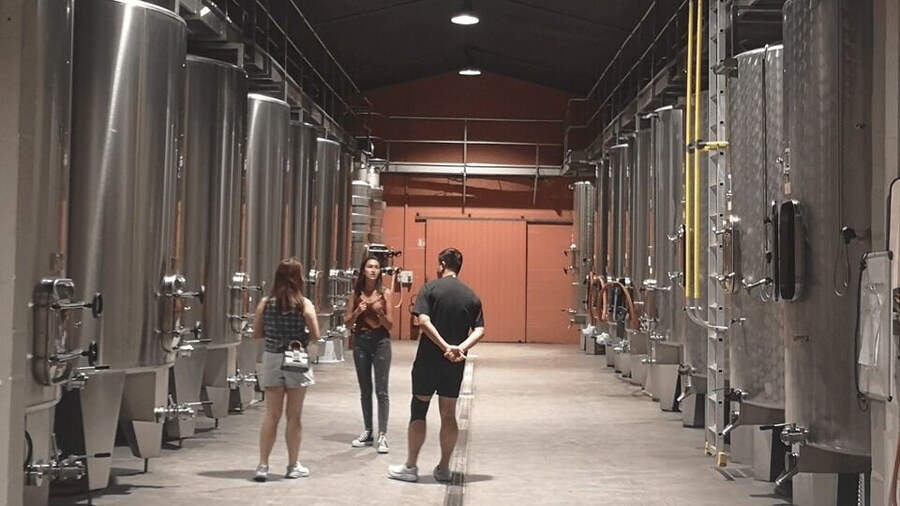Médoc wine tour from Bordeaux: 2 wineries & 6 wines