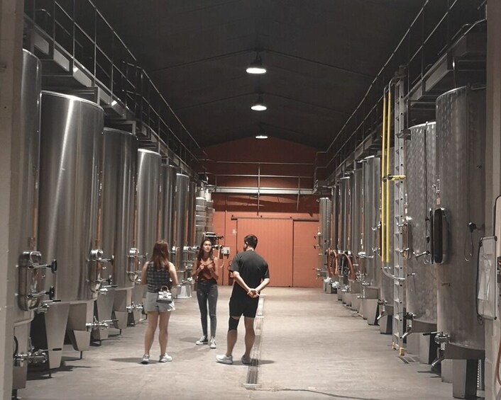 Médoc wine tour from Bordeaux: 2 wineries & 6 wines