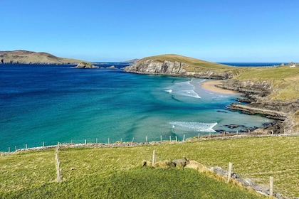 Dingle: Slea Head Photo And Sightseeing Tour