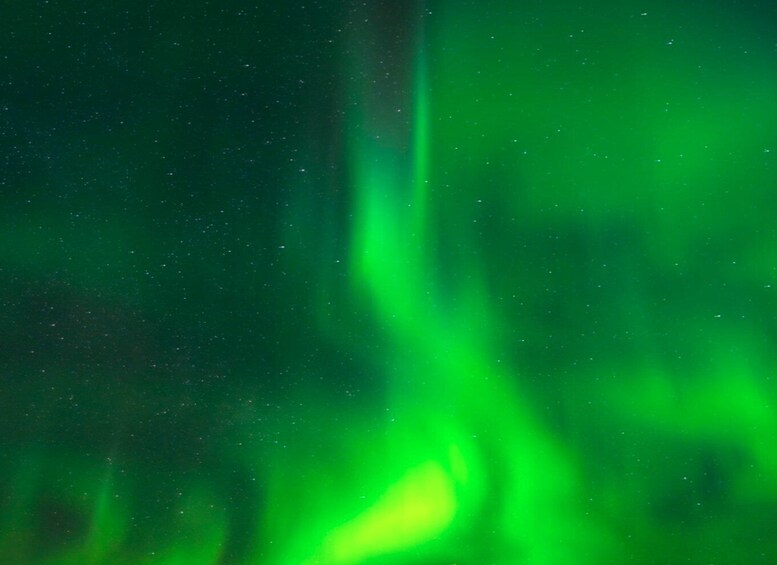 Picture 14 for Activity Rovaniemi: Private Aurora Tour with Guaranteed Sightings