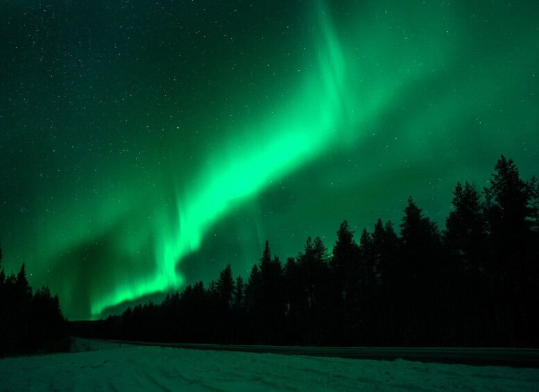 Picture 3 for Activity Rovaniemi: Private Tour with Guaranteed Northern Lights