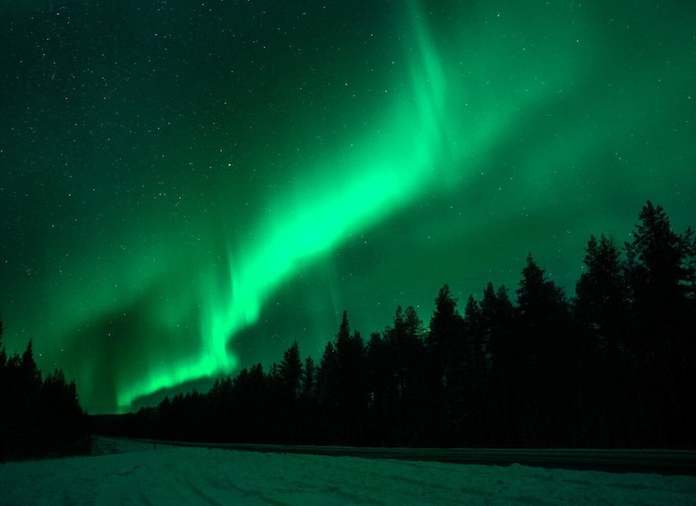 Picture 3 for Activity Rovaniemi: Private Aurora Tour with Guaranteed Sightings