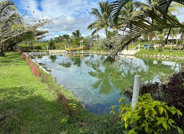 Picture 3 for Activity Private Tour: ''Nature's Bliss: Mud & Springs!''