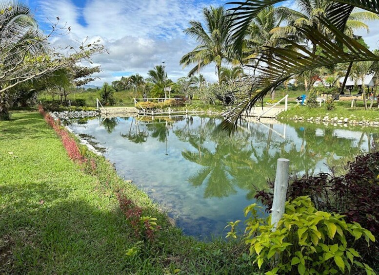 Picture 3 for Activity Private Tour: ''Nature's Bliss: Mud & Springs!''