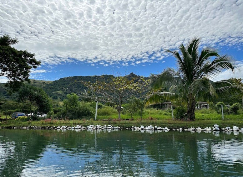 Picture 8 for Activity Private Tour: ''Nature's Bliss: Mud & Springs!''