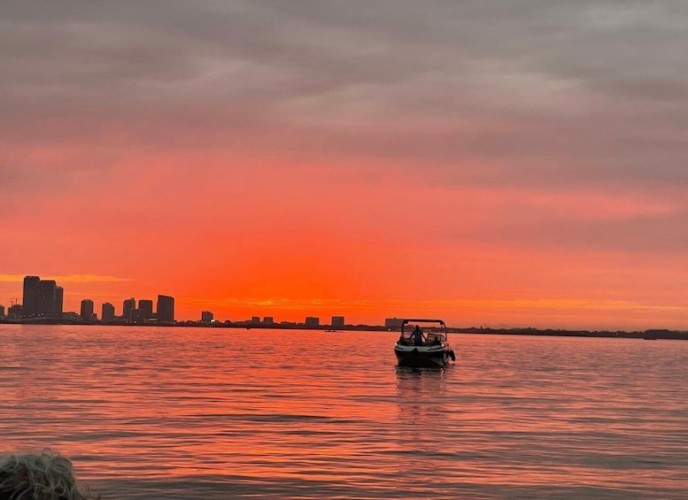 Picture 1 for Activity Miami Beach: Spectacular Sandbar & Skyline Boat Tour