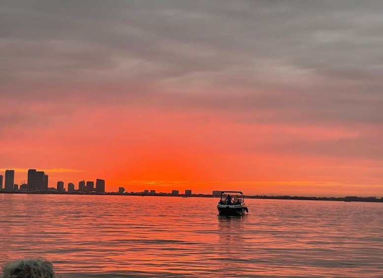 Picture 1 for Activity Miami Beach: Spectacular Sandbar & Skyline Boat Tour