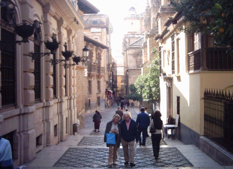 Picture 2 for Activity Granada (Albaicín) Private Guided Walking Tour