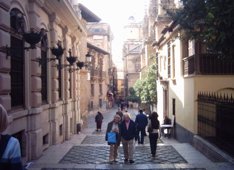 Picture 2 for Activity Granada (Albaicín) Private Guided Walking Tour