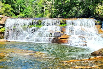 Asheville: Hidden Gems Tour in The Blue Ridge Mountains