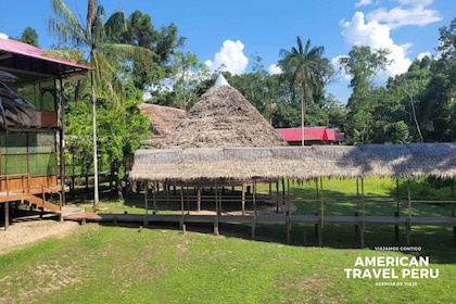 Iquitos: 4 days 3 nights Amazon Lodge all-inclusive