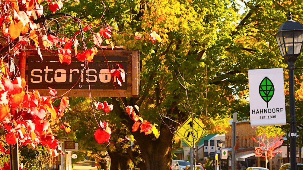Picture 4 for Activity Adelaide: Half-Day Highlights City, Mount Lofty & Hahndorf