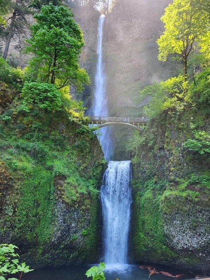 Picture 2 for Activity Waterfalls, Wine, and Timberline Tour