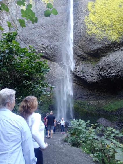 Picture 6 for Activity Waterfalls, Wine, and Timberline Tour