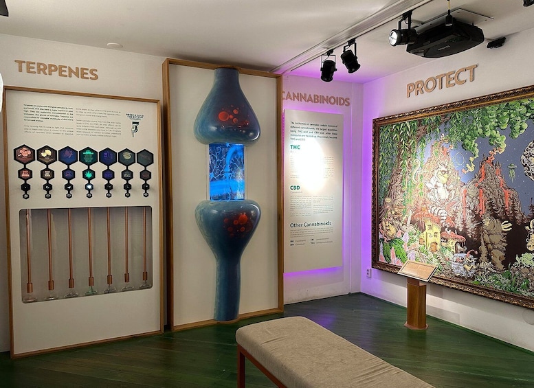 Picture 2 for Activity Amsterdam: Cannabis Museum Entry Ticket
