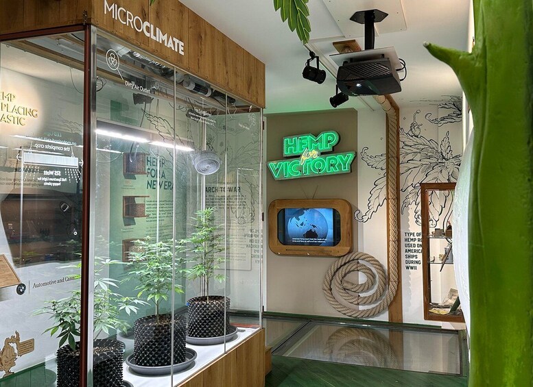 Amsterdam: Cannabis Museum Entry Ticket