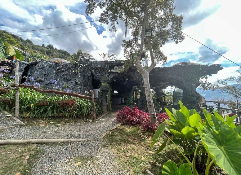 Picture 4 for Activity Medellin: Coffee Farm and Barista Workshop Experience