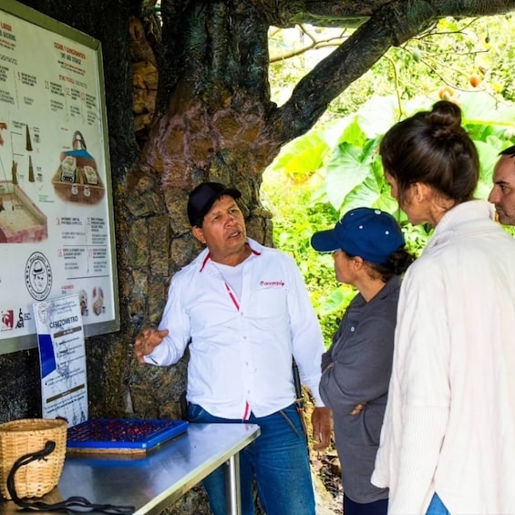 Picture 1 for Activity Medellin: Coffee Farm and Barista Workshop Experience