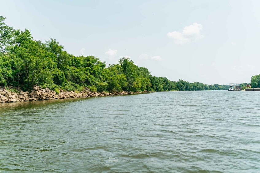 Picture 6 for Activity Nashville: Pontoon Party Cruise with a Captain