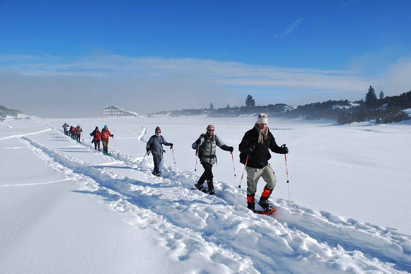 Picture 2 for Activity Bansko: Easy snowshoeing Pirin National Park & thermal spa