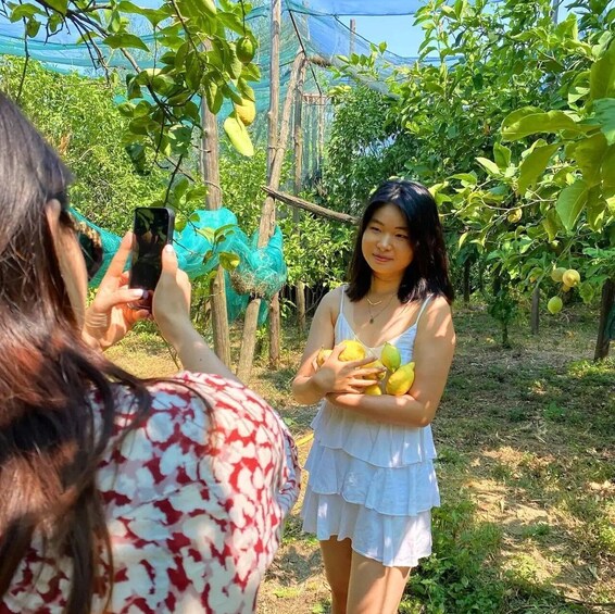 Picture 2 for Activity Sorrento: Lemon Experience with Harvesting and Tasting Tour