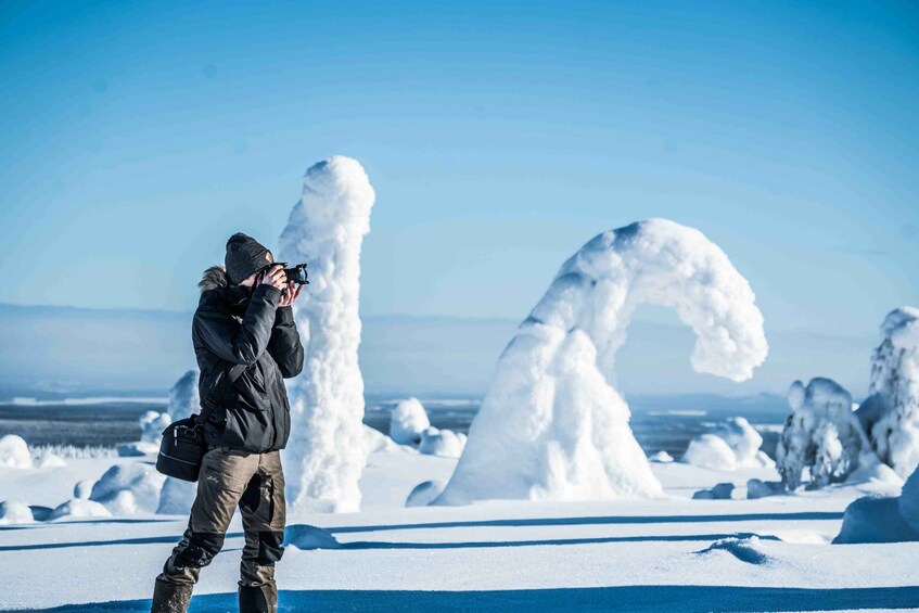 Picture 4 for Activity From Rovaniemi: Riisitunturi Full-Day Wilderness Adventure