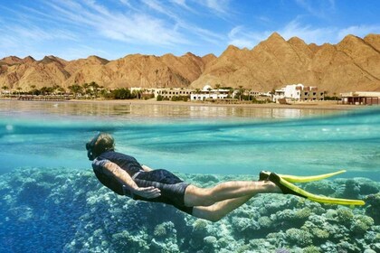 Private Egypt Packages Tour 9 Days 8 Nights From Basel