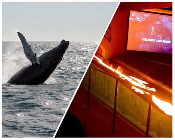 レイキャヴィークファクサフロワ湾でのホエールウォッチングと溶岩ライブショー
