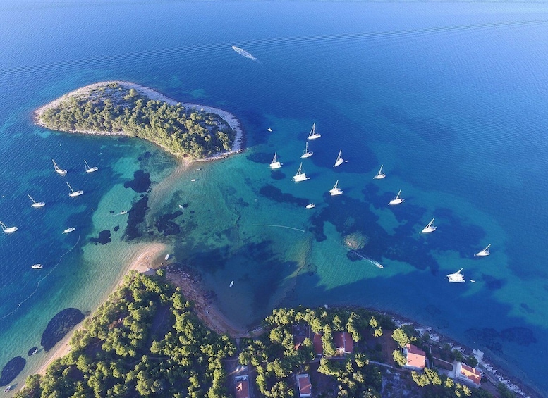 Picture 9 for Activity From Biograd: Golden Island of Vrgada Trip with Lunch