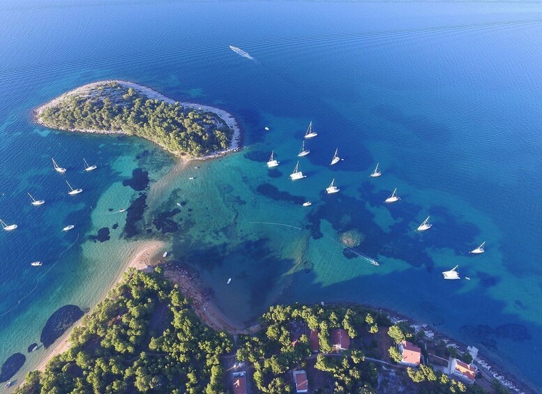 Picture 9 for Activity From Biograd: Golden Island of Vrgada Trip with Lunch